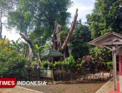 Grebeg Tumpeng dan Khaul Mbah Patra Manggala, Warisan Luhur dari Desa Batuagung Tegal – TIMES Banyuwangi