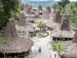 Desa Wisata Watuhadang di Sumba Timur Mulai Dikenal Wisatawan – TIMES Banyuwangi