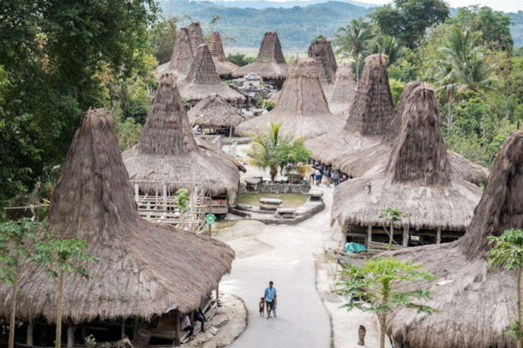 desa-wisata-watuhadang-di-sumba-timur-mulai-dikenal-wisatawan-–-times-banyuwangi