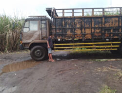 Sopir Armada Truk Blokade Jalan Perkebunan, Musim Giling Pabrik Gula Glenmore Terancam Mandeg – TIMES Banyuwangi
