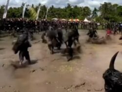 Keboan Desa Aliyan menjadi Potensi Wisata lokal berbasis Budaya Adi Luhur