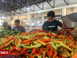 Harga Pangan Terkini: Bawang Merah dan Cabai Rawit Turun, Beras Berfluktuasi – TIMES Banyuwangi