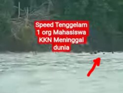 Duka Belum Usai! Satu Mahasiswa KKN UGM Masih Hilang di Laut Maluku Tenggara