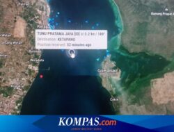 KMP Tunu Pratama Jaya Tenggelam 24 Menit Setelah Bertolak dari Pelabuhan Ketapang