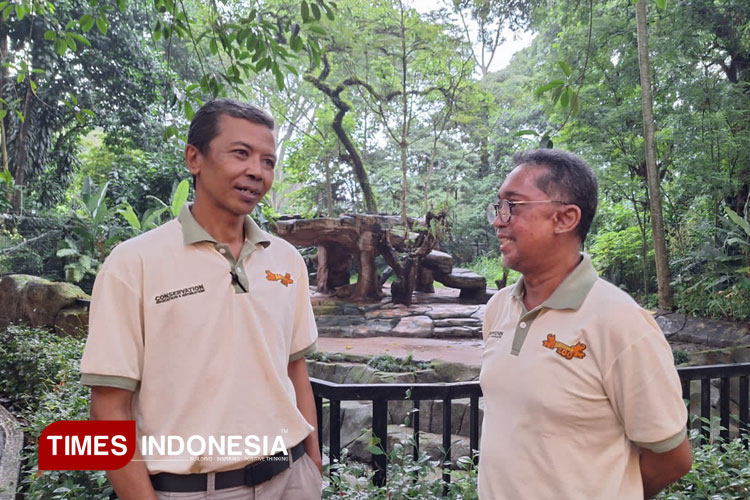 hadapi-dinamika-kepengurusan,-bandung-zoo-minta-dukungan-pemkot-untuk-solusi-legalitas-–-times-banyuwangi