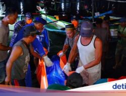 Temuan 2 Jenazah Tambah Daftar Korban Tewas KMP Tunu Pratama Jaya?