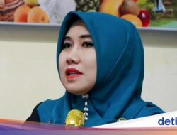 Kata Senator DPD RI Soal 120 Calon Siswa Korban Prank SPMB Diberi Beasiswa