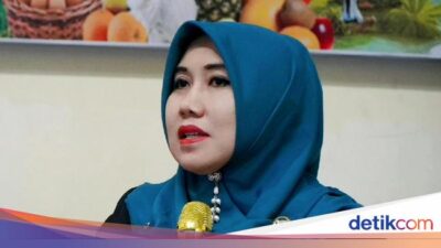 kata-senator-dpd-ri-soal-120-calon-siswa-korban-prank-spmb-diberi-beasiswa