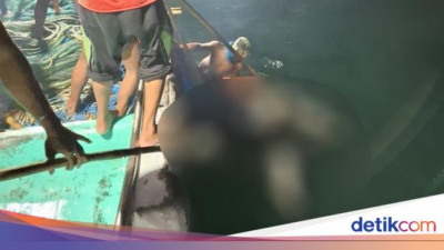 nelayan-temukan-lagi-jenazah-ke-9-kmp-tunu-pratama-di-perairan-muncar