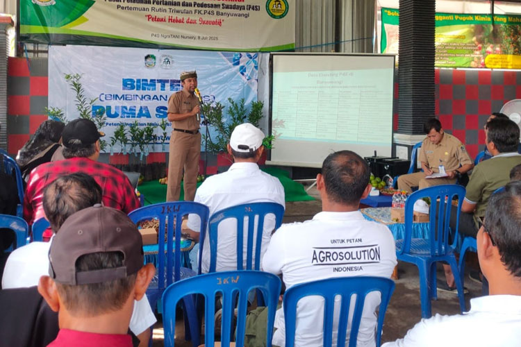 inovasi-‘puma-sejati’,-langkah-maju-pertanian-banyuwangi-tingkatkan-ekonomi-–-times-banyuwangi