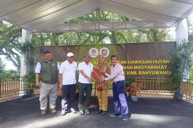 152-hektare-lahan-hutan-resmi-milik-warga-dusun-pancer,-desa-sumberagung,-kecamatan-pesanggaran