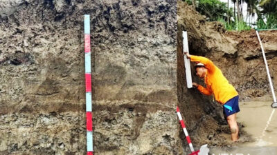 jejak-tsunami-purba-ditemukan-dekat-bandara-yia,-brin-soroti-risiko-pembangunan-masif-–-times-banyuwangi