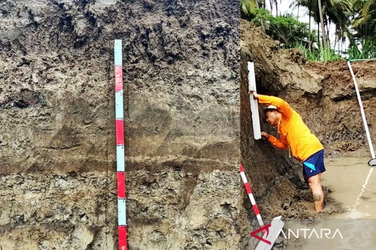 jejak-tsunami-purba-ditemukan-dekat-bandara-yia,-brin-soroti-risiko-pembangunan-masif-–-times-banyuwangi