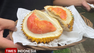 setelah-ig-kopi-robusta-blambangan,-banyuwangi-patenkan-durian-merah-–-times-banyuwangi