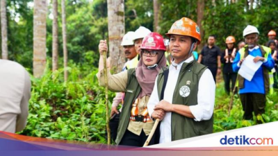 jalankan-arahan-gibran,-menhut-lepas-status-hutan-152-ha-ke-warga-di-banyuwangi