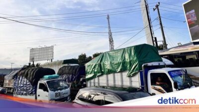 keluh-sopir-truk-asal-bandung-tempuh-baluran-ketapang-hingga-2-hari