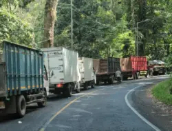 Jalur Gumitir Akan Ditutup 2 Bulan, Dishub Banyuwangi Koordinasi Rute Bus dan Kereta Api