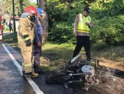 Motor Suzuki Thunder Ludes Terbakar di Pinggir Jalan Raya Banyuwangi, Pemilik Masih Misterius