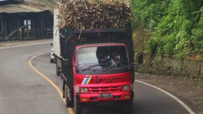 dampak-penutupan-jalur-gumitir:-sopir-truk-tebu-alihkan-muatan-ke-situbondo,-industri-gula-glenmore-bisa-kacau