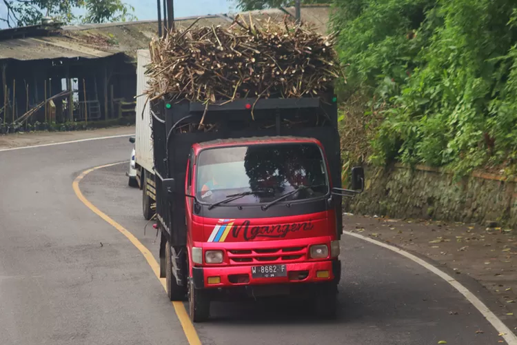 dampak-penutupan-jalur-gumitir:-sopir-truk-tebu-alihkan-muatan-ke-situbondo,-industri-gula-glenmore-bisa-kacau