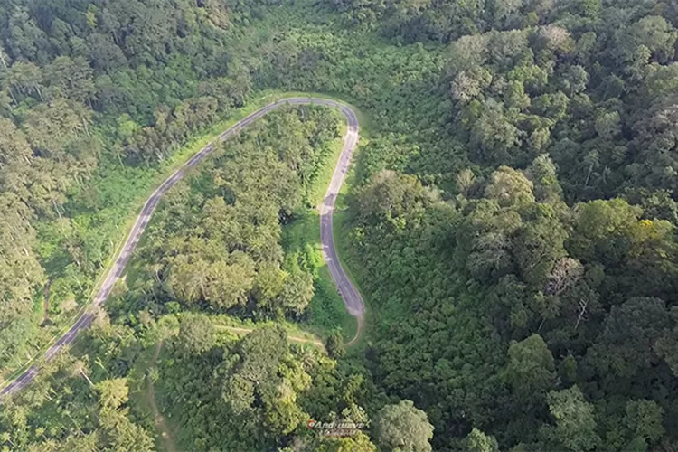 andai-jalur-lintas-selatan-banyuwangi–jember-sudah-tersambung,-macet-horor-bisa-dihindari!