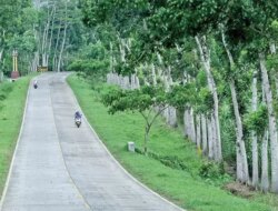 19 Kilometer Lagi Tersambung, Jalur Lintas Selatan Banyuwangi-Jember Mangkrak 23 Tahun!