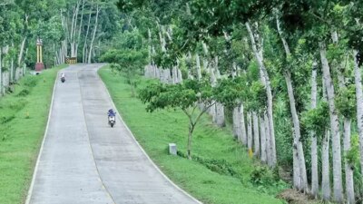 19-kilometer-lagi-tersambung,-jalur-lintas-selatan-banyuwangi-jember-mangkrak-23-tahun!