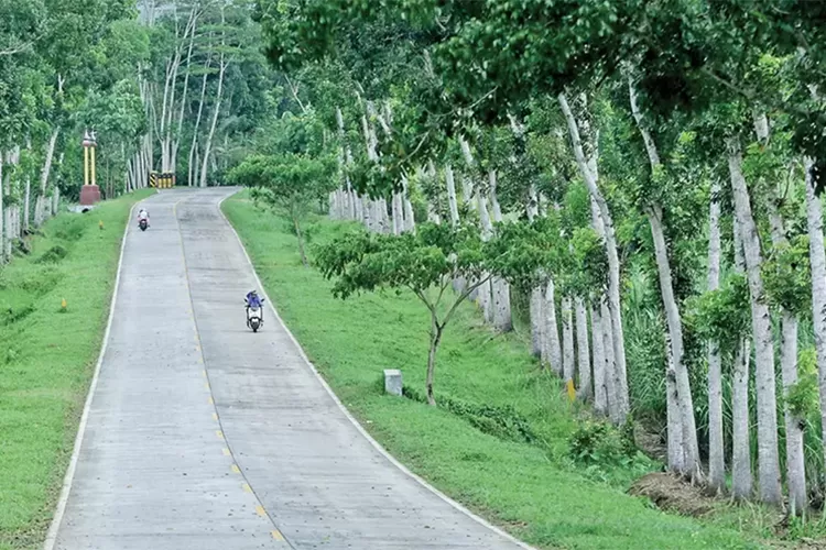 19-kilometer-lagi-tersambung,-jalur-lintas-selatan-banyuwangi-jember-mangkrak-23-tahun!