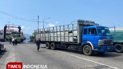 ini-penyebab-macet-panjang-pelabuhan-ketapang-gilimanuk-banyuwangi-–-times-banyuwangi