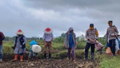 memasuki-transisi-musim-kemarau,-polresta-banyuwangi-tanam-jagung-bersama-petani