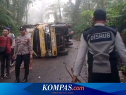 Cari Alternatif Menuju Banyuwangi, Truk Boks Terguling di Jalur Kawah Ijen yang Ekstrem