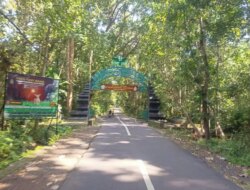 Woro-woro! Wisata Alas Purwo Ditutup 3 Hari, Banyuwangi Punya Gawe Mulai 28-30 Juli