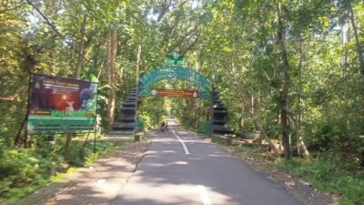 woro-woro!-wisata-alas-purwo-ditutup-3-hari,-banyuwangi-punya-gawe-mulai-28-30-juli