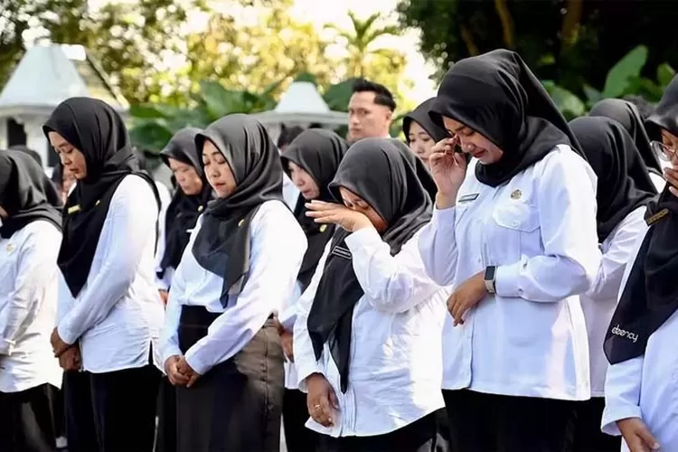 gagal-lolos-pppk?-579-honorer-di-pasuruan-masih-punya-peluang-jadi-asn-paruh-waktu!