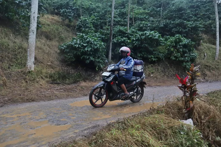 bikin-geleng-geleng,-meski-jiriken-dilarang-tetap-bandel!-warga-jember-kepergok-kulakan-bbm-di-banyuwangi