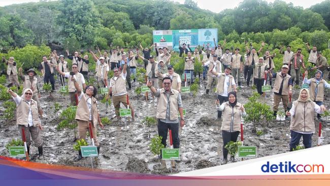 mangrove-festival-dimulai-di-banyuwangi,-gaungkan-gaya-hidup-rendah-emisi