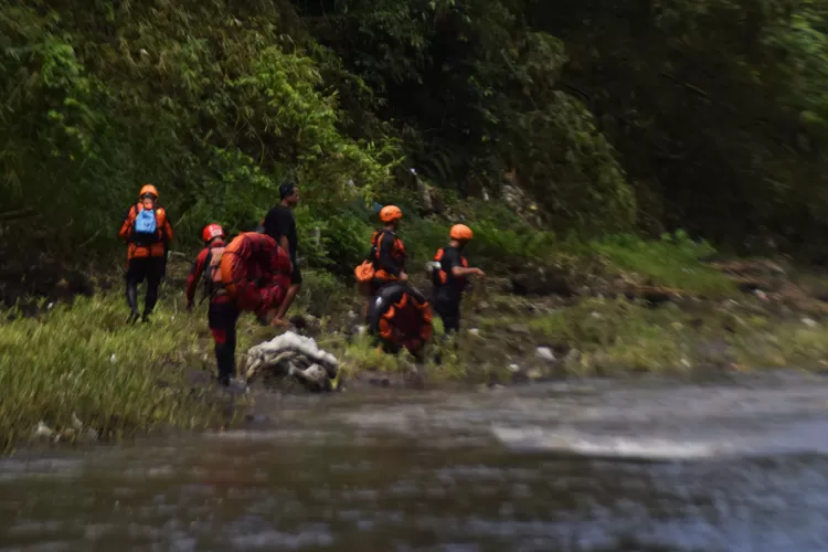 nenek-di-banyuwangi-pamit-nyuci-ke-sungai-gak-pulang-pulang, tim-sar-sisir-hingga-ke-pesisir