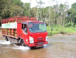 Jembatan Darurat Sungailembu Belum Rampung, Mobil dan Logistik Terpaksa Seberangi Sungai