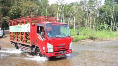 jembatan-darurat-sungailembu-belum-rampung,-mobil-dan-logistik-terpaksa-seberangi-sungai