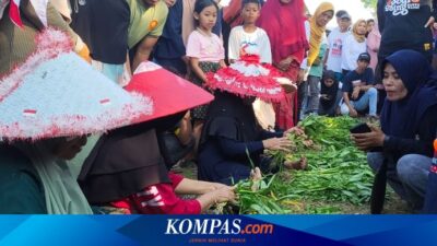 sambut-hut-ke-80-ri,-warga-banyuwangi-gelar-lomba-ikat-kangkung