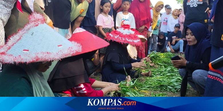sambut-hut-ke-80-ri,-warga-banyuwangi-gelar-lomba-ikat-kangkung