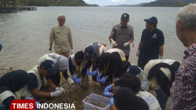 peduli-laut,-mahasiswa-ugm-tanam-ratusan-bibit-terumbu-karang-di-pesisir-selatan-sumbar-–-times-banyuwangi