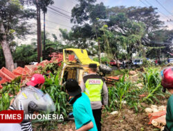 Kecelakaan Truk, Sebabkan Ratusan Ayam Berhamburan di Jalanan Kabat Banyuwangi – TIMES Banyuwangi