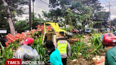kecelakaan-truk,-sebabkan-ratusan-ayam-berhamburan-di-jalanan-kabat-banyuwangi-–-times-banyuwangi