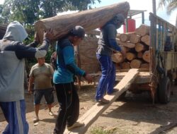 Diduga Ilegal, 25 Batang Kayu Jati Diamankan dari Rumah Kosong di Sumberagung Pesanggaran