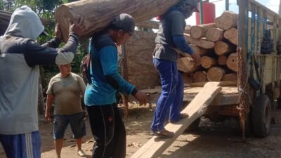 diduga-ilegal,-25-batang-kayu-jati-diamankan-dari-rumah-kosong-di-sumberagung-pesanggaran