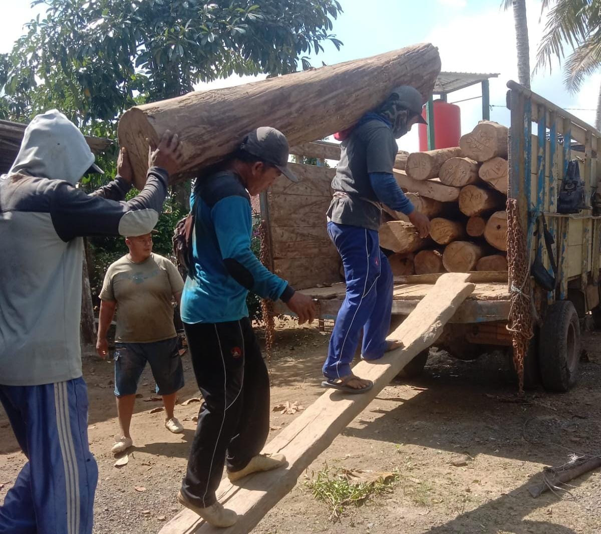 diduga-ilegal,-25-batang-kayu-jati-diamankan-dari-rumah-kosong-di-sumberagung-pesanggaran