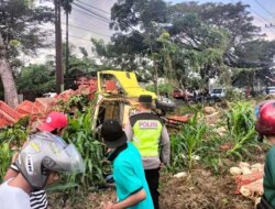 Truk Bermuatan Ayam Terguling di Jalan Kabat, Warga Bantu Evakuasi Ayam dan Korban