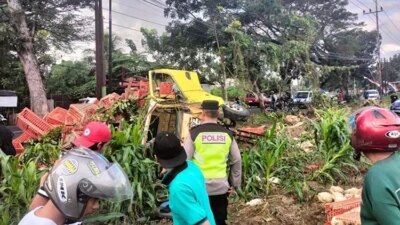 truk-bermuatan-ayam-terguling-di-jalan-kabat,-warga-bantu-evakuasi-ayam-dan-korban