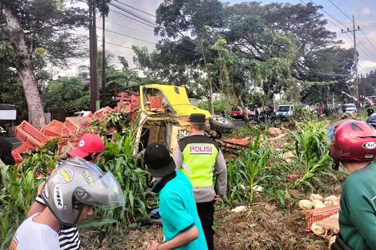 truk-bermuatan-ayam-terguling-di-jalan-kabat,-warga-bantu-evakuasi-ayam-dan-korban